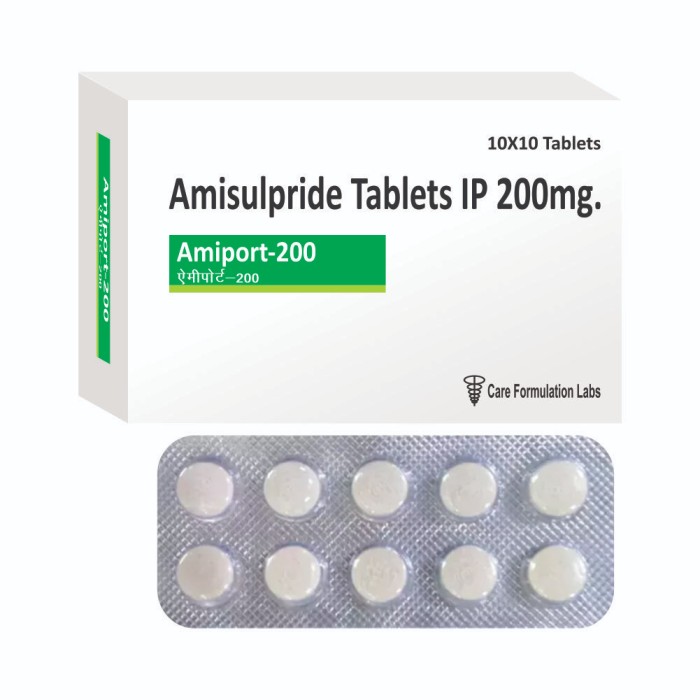 AMIPORT-200