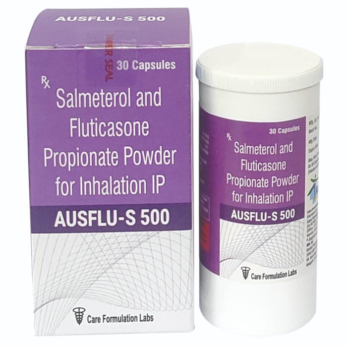 AUSFLU-S 500