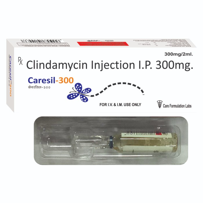 CARESIL-300 INJ