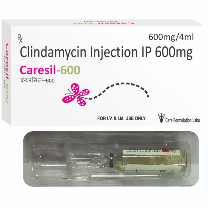 CARESIL-600