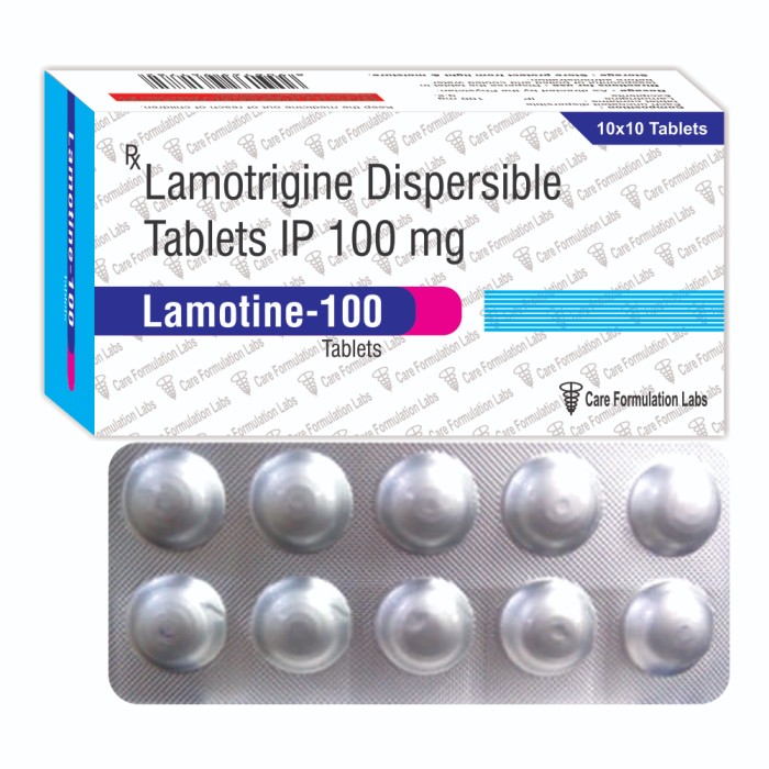 LAMOTINE -100