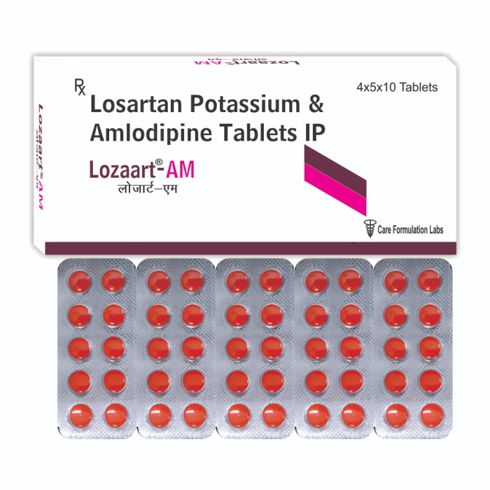 LOZAART-AM
