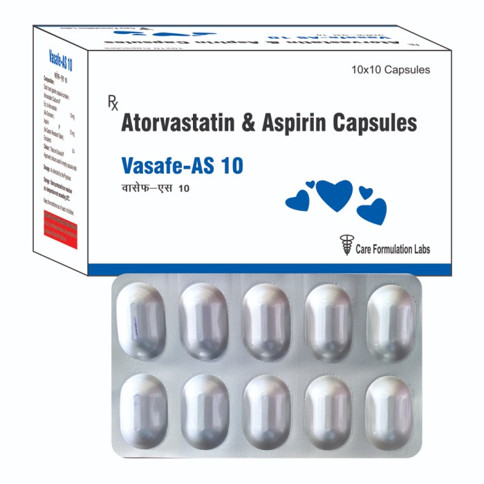 VASAFE –AS 10