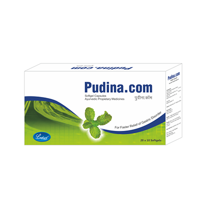 PUDINA.COM