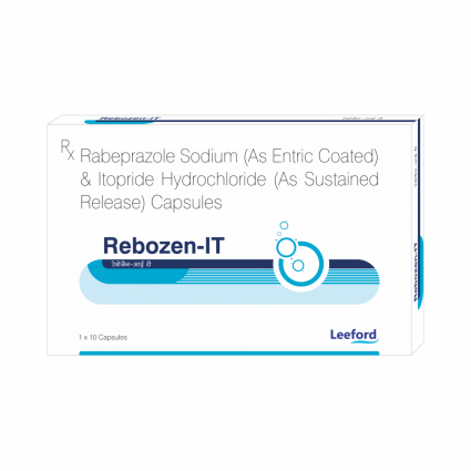 REBOZEN-IT