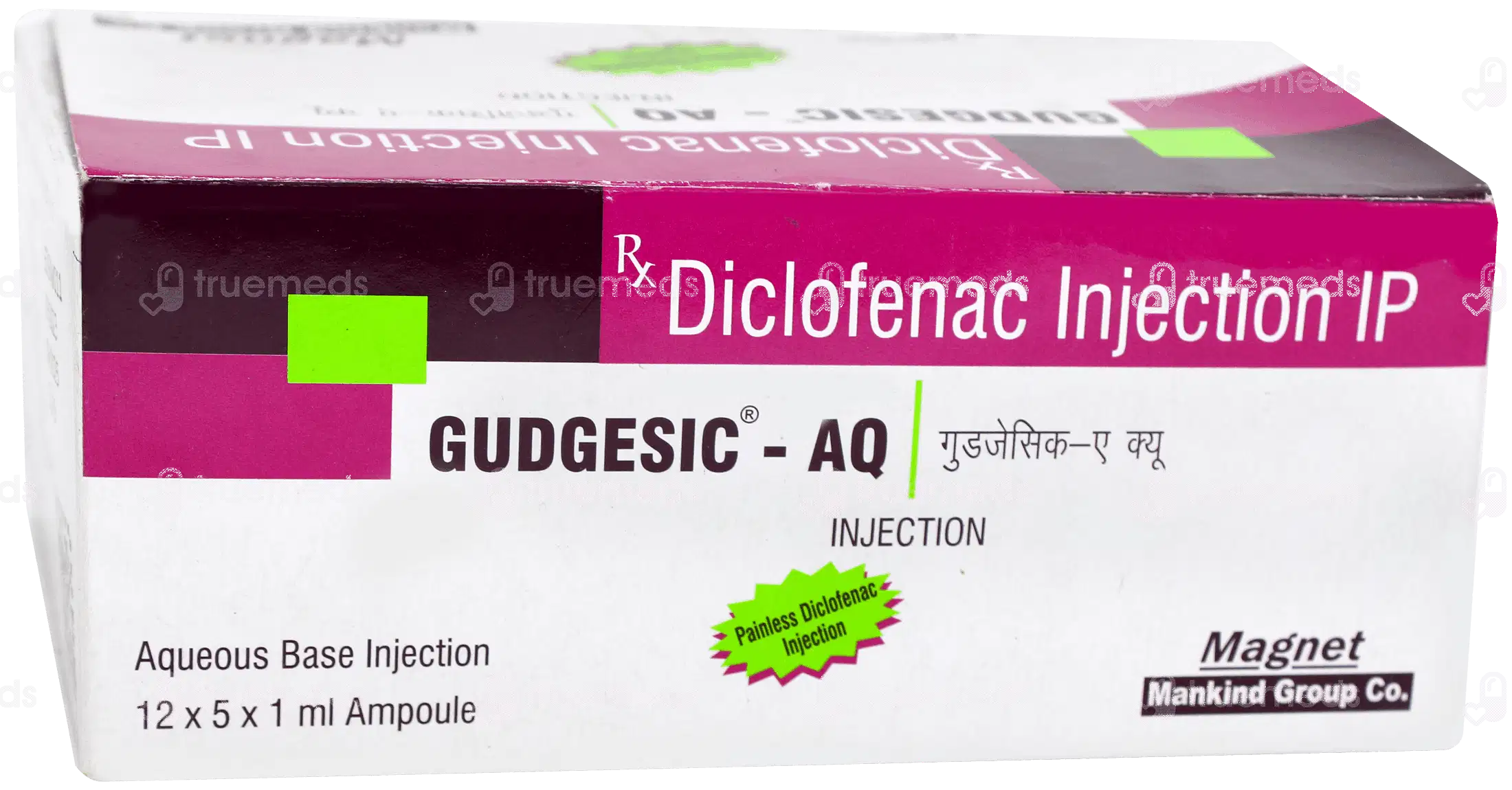 GUDGESIC AQ 1ML INJECTION