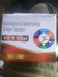 VIT N VITAL SOFTGELS