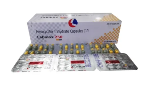 LABMOX 250MG CAPSULE